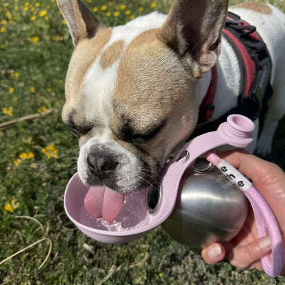 PawFreePro Dog Water Bowl