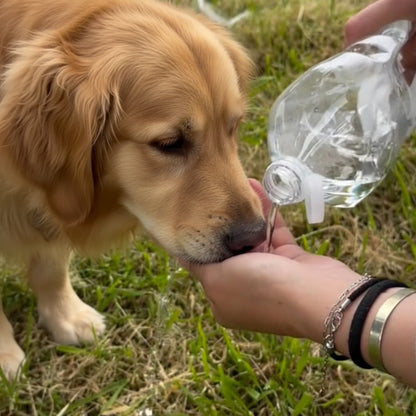 PawFreePro Dog Water Bowl