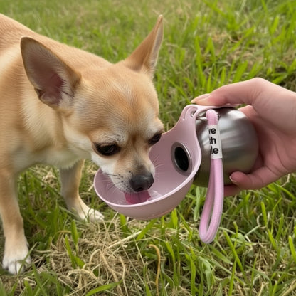PawFreePro Dog Water Bowl