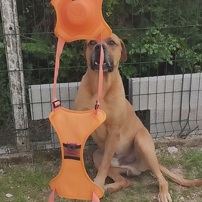 PawFree™ FusionHarness